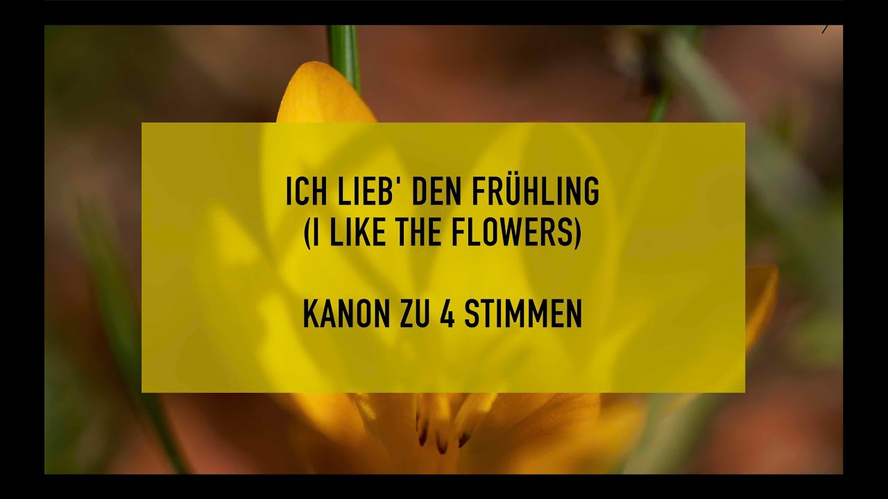 Ich lieb den Frühling (I like the flowers) 🌺 🌸 💐 🌼 Kanon zu 4 Stimmen als Virtueller Chor