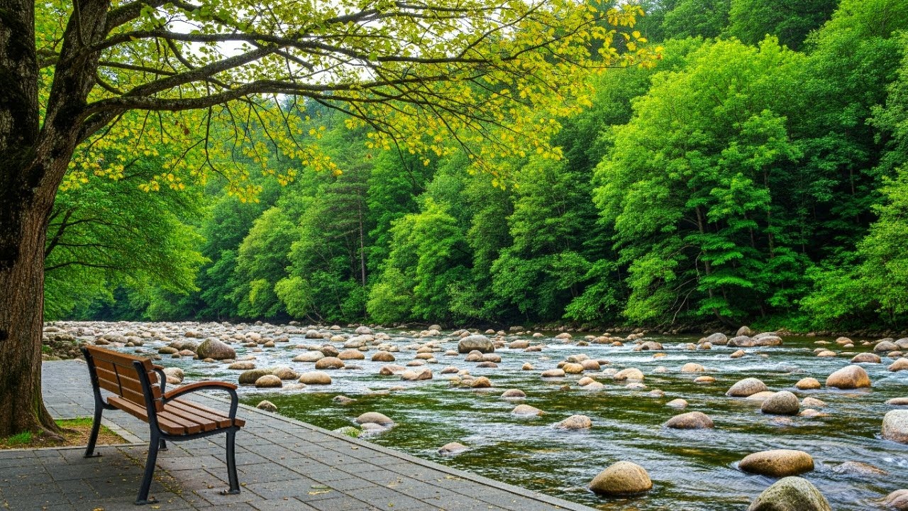 Beautiful Relaxing Music & Peaceful Autumn Scenery 🍂 Healing Music for Stress Relief & Soul