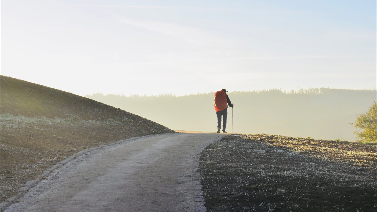 And makes my way perfect (Psalms‬ ‭18‬:‭32‬) - Thought for the Day - 19Feb2026