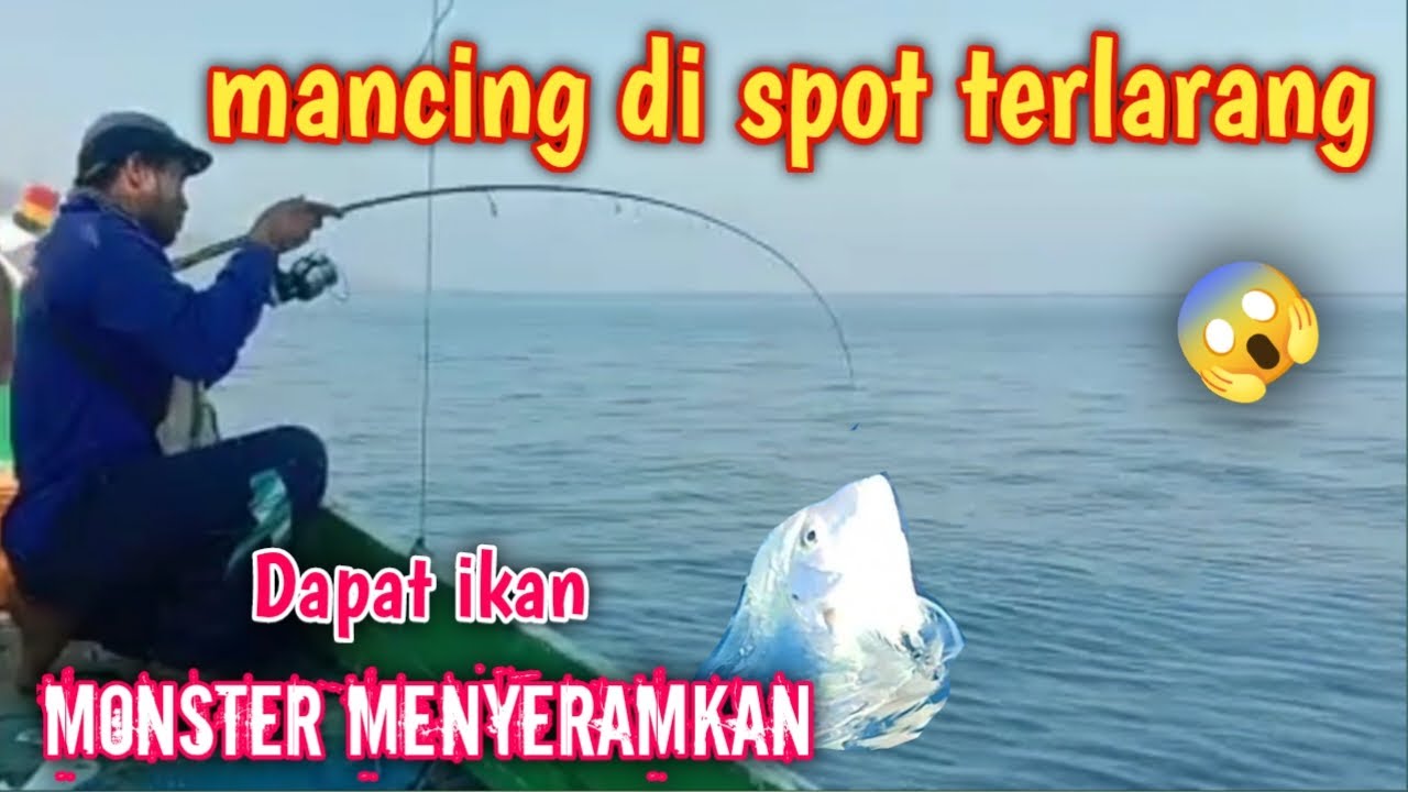 NEKAT!! MANCING IKAN GT DI SPOT TERLARANG SAMPAI KEWALAHAN @AMFishing2757