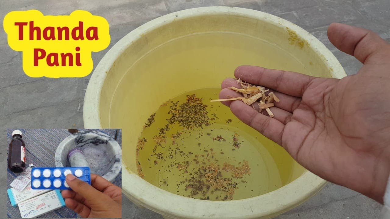 Thanda Pani For Breeder Pigeons || Hashim Mahmood Pigeons