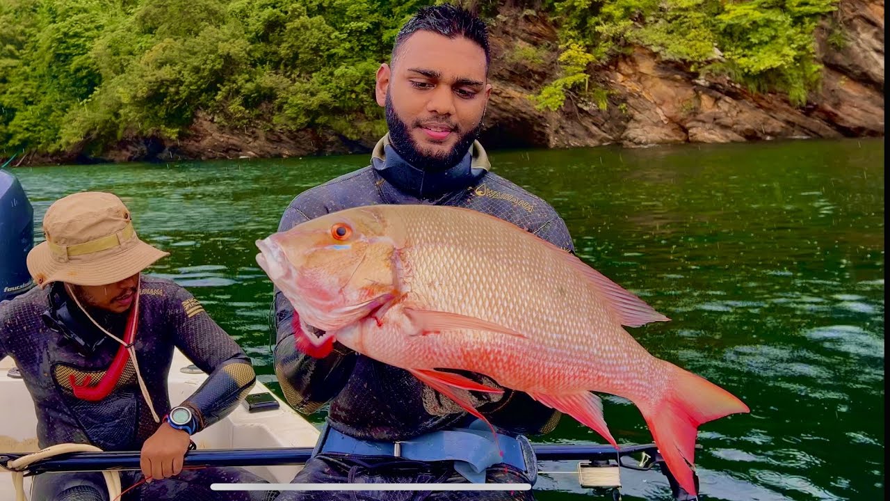 Putting some RED fish in the Cooler | Spearfishing Trinidad for Snapper and Barracudas