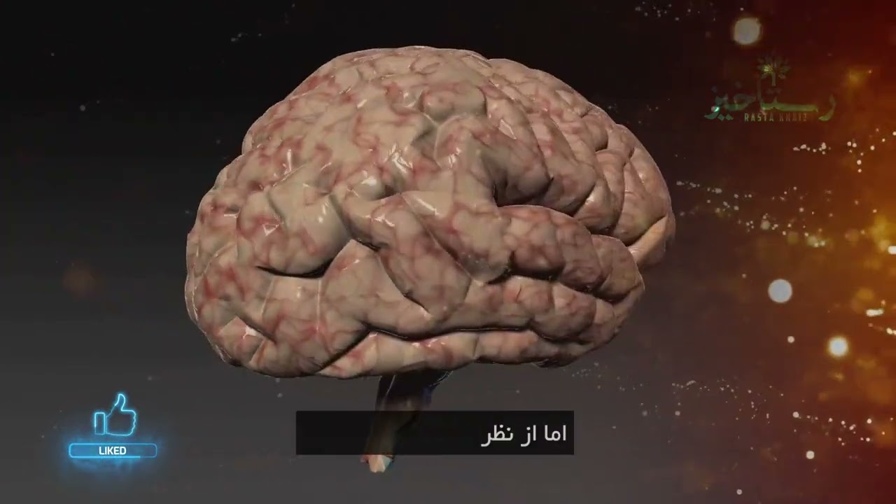 قلب انسان وسیله سلامت انسان!