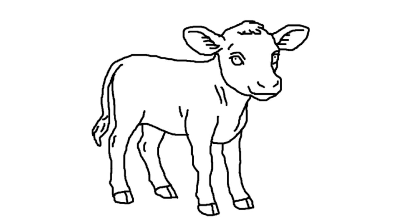 Cow Calf Easy Drawing - Nishant Pundir