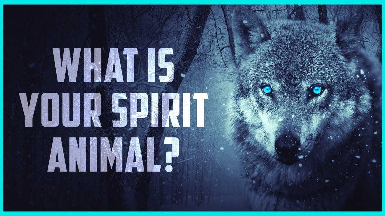 what is your SPIRIT animal? - Personality Test