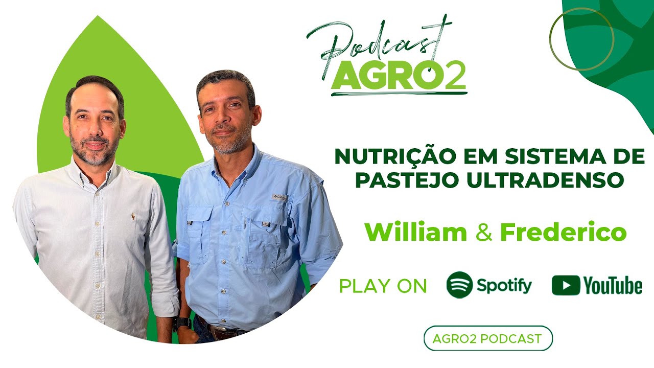 Sistema de pastejo ultradenso e como ele se diferencia dos convencionais #386