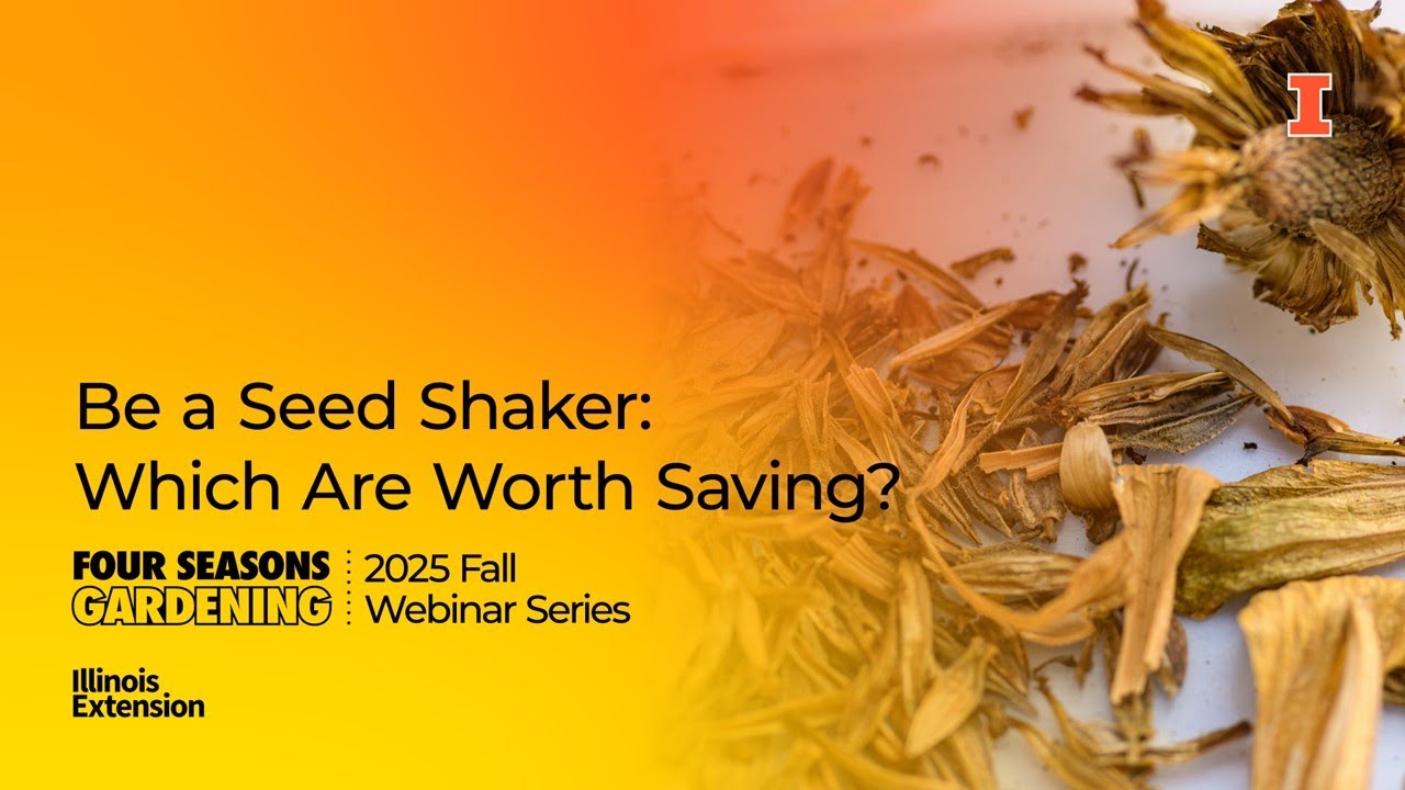 Be a Seed Shaker Which Are Worth Saving