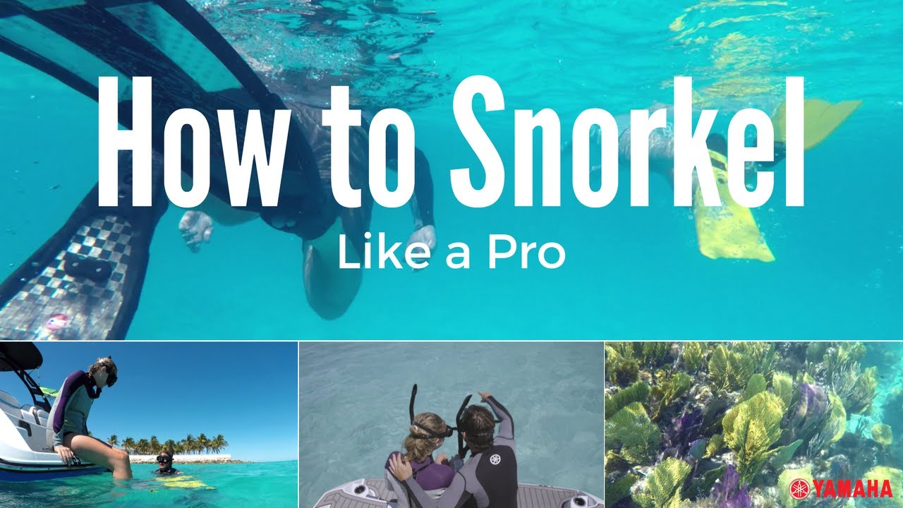 How To Snorkel Like a Pro With These Simple Tips