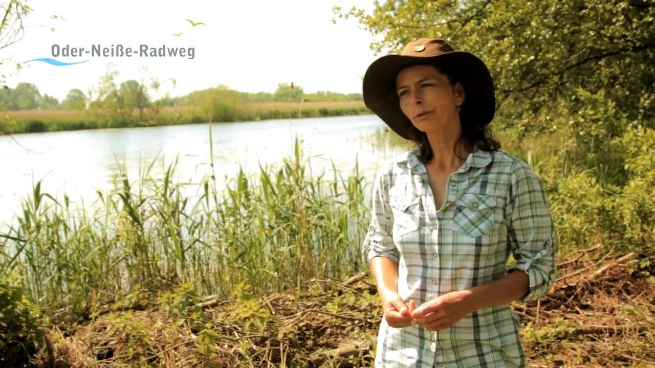 Kanutour im Nationalpark Unteres Odertal