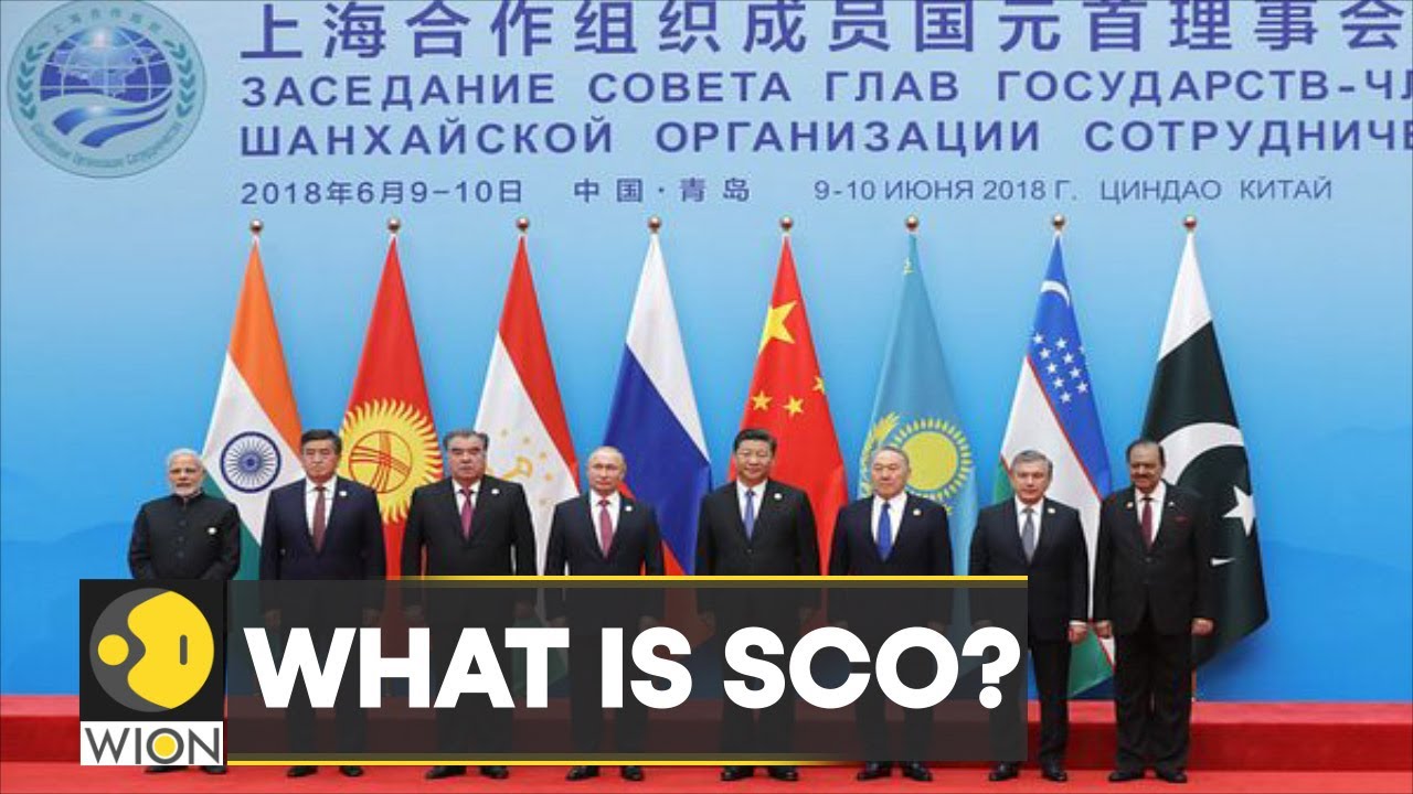 What made India join the SCO? | Significance for India | World News | WION
