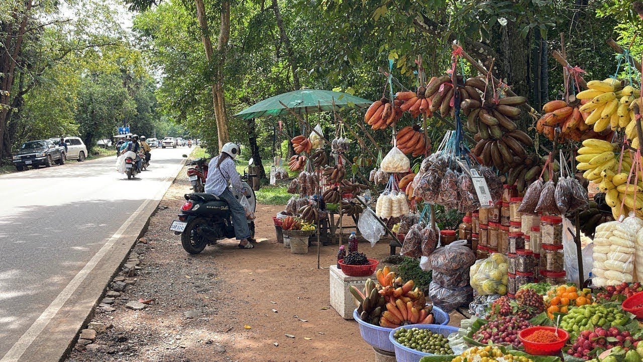 Cambodia Best Street Food Compilation  - Countryside Vs City Food Vlog @ Siem Reap