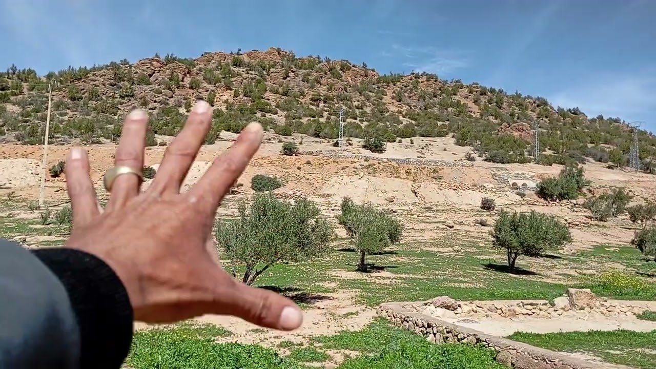 11/03/2025 قطعه ارضيه تتر محافظه مساحتها 6500 متر فيها 46 اشجار الزيتون ثمنها 18 مليون 0666467992