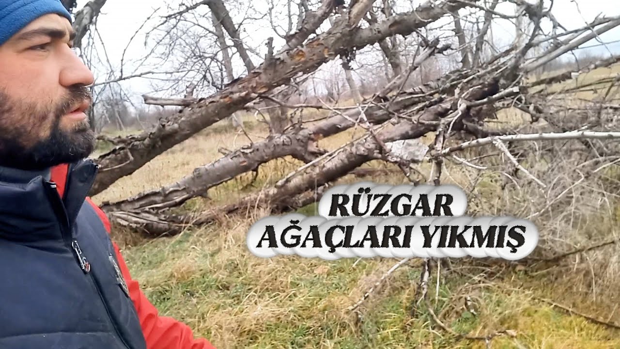 BRANDALARIMIZ BU SEFER DAYANAMADI! | Ahır Onarımı Keçi Yaylımı