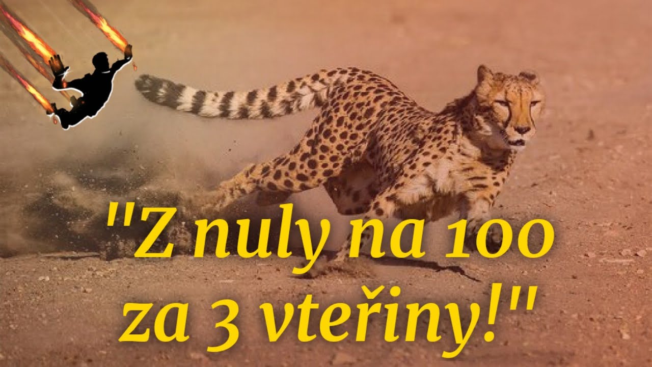 GEPARD - THE KING OF THE SPEED
