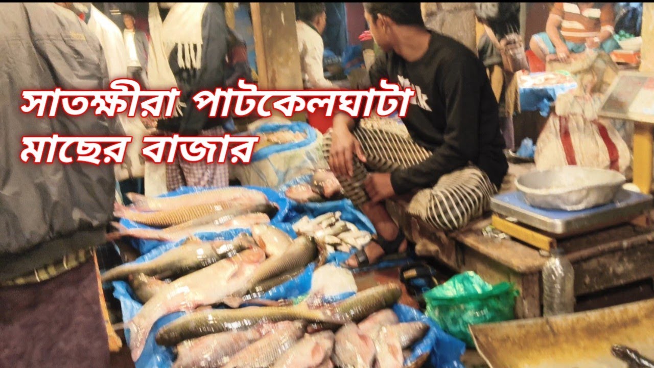 পাটকেলঘাটা মাছের বাজার#ভাইরাল #নতুন #সাতক্ষীরা 