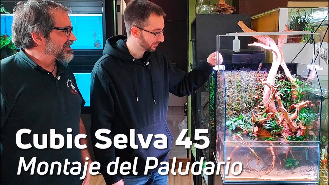 Paludario Cubic Selva 45 de Blau Aquaristic | Características y Montaje |