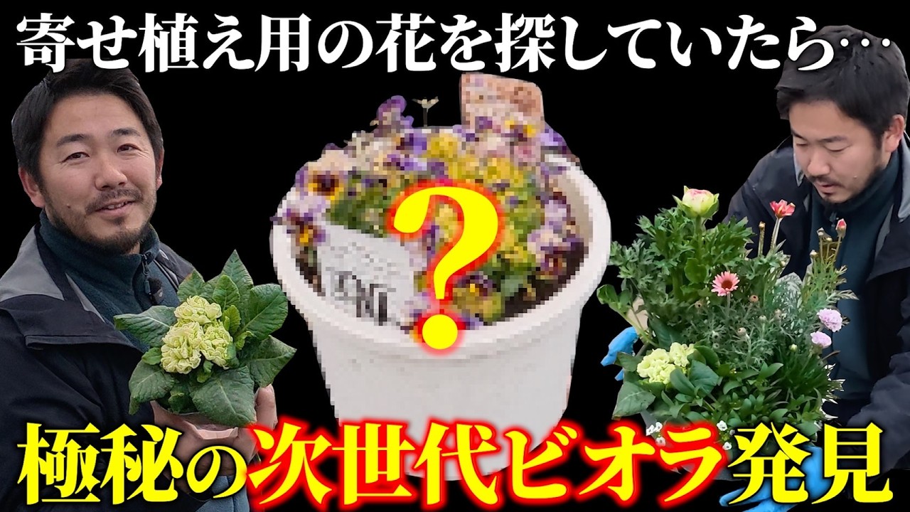 【花の定期便2月】寄せ植え材料探しのはずが…未来の花に出会ってしまった。