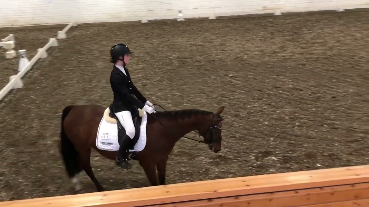 Iris och Twister Lätt B:1 debut 24 mars 2024