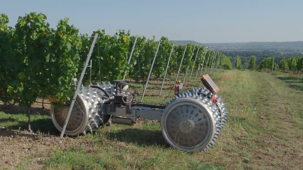 Konzeptfahrzeug GEISI - Autonomie für den Weinberg mit dem Autonomiekit RowCropPilot
