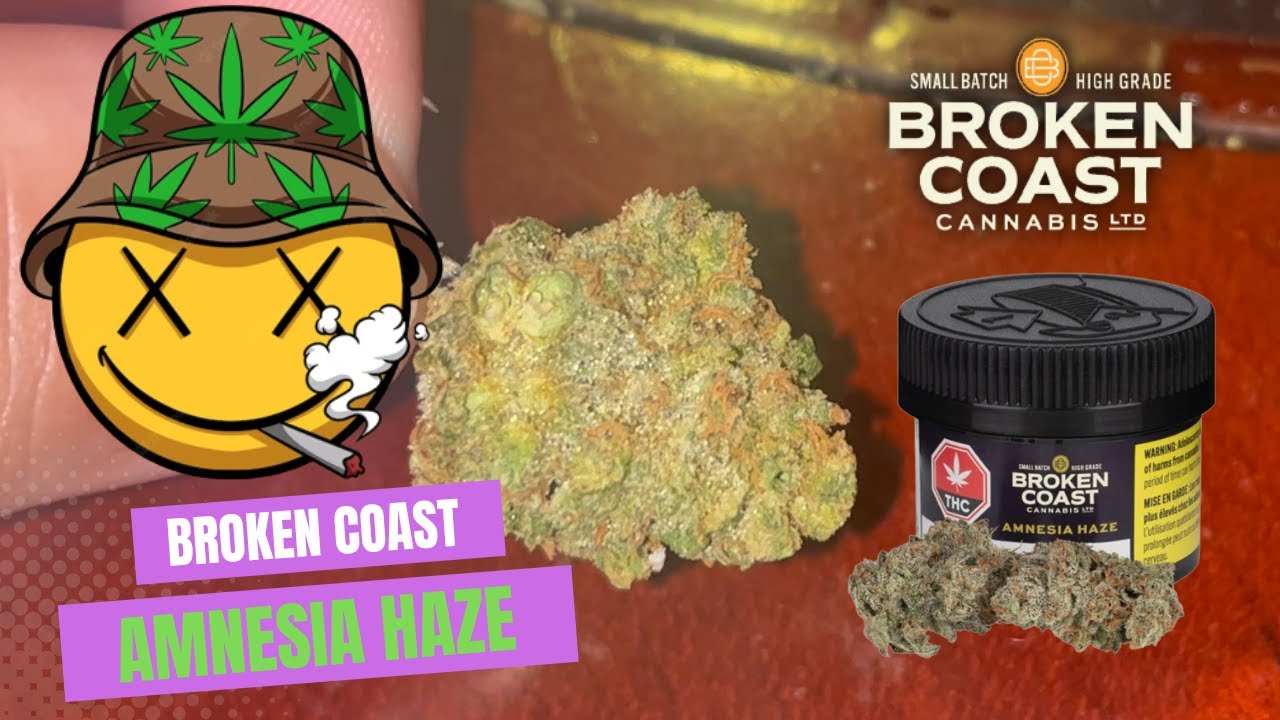Amnesia Haze Strain Review 🌿