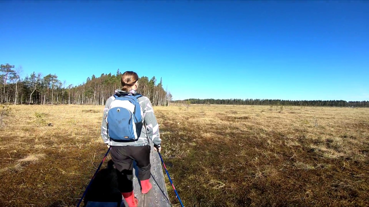Siikaneva vaellus Part 1/2 Päiväretki Pirkanmaalla