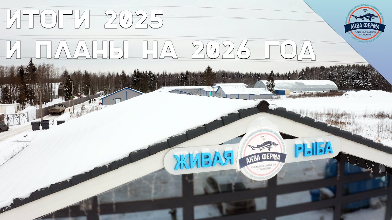 Итоги 2025 и планы на 2026 год