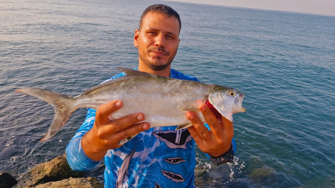 Micro Jig ile İstavrit ve Dev Balık Avı! LRF Ekipmanıyla Sınırları Zorladık!