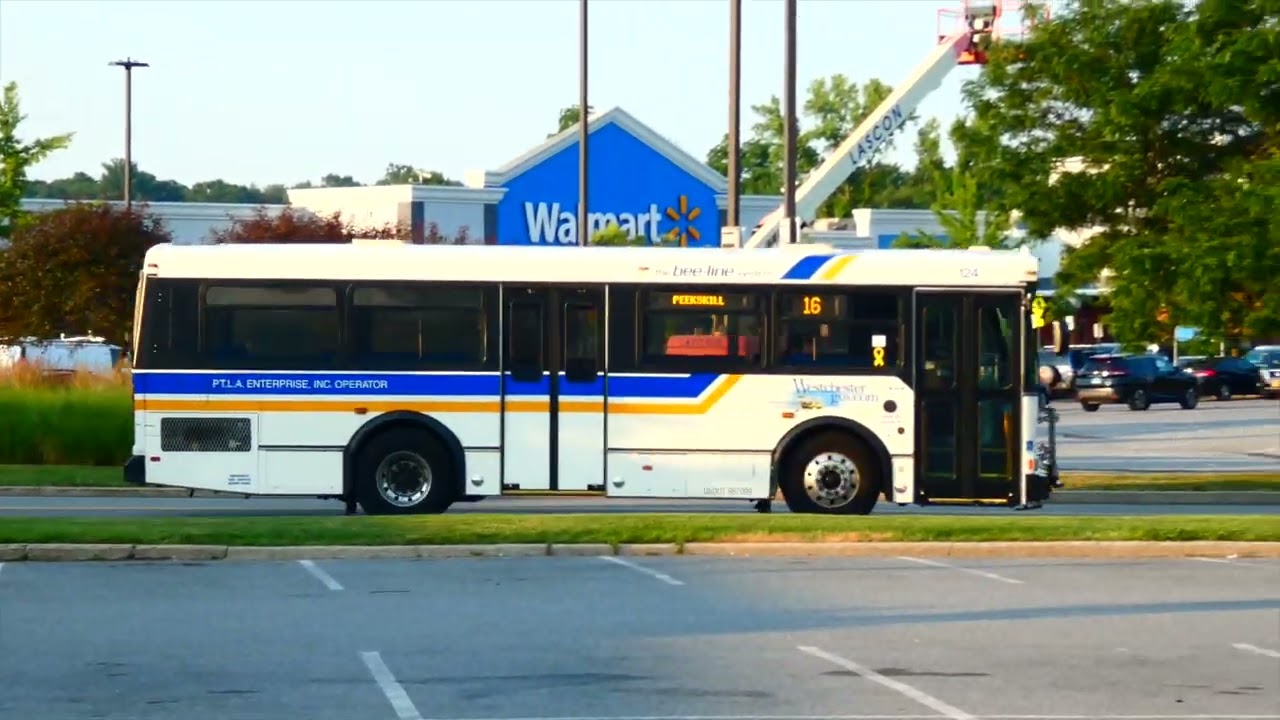 Bee-Line Bus: Route 10, 14, 15, 16 & 17 Buses @ Cortlandt Town Center (AM Rush Hour)