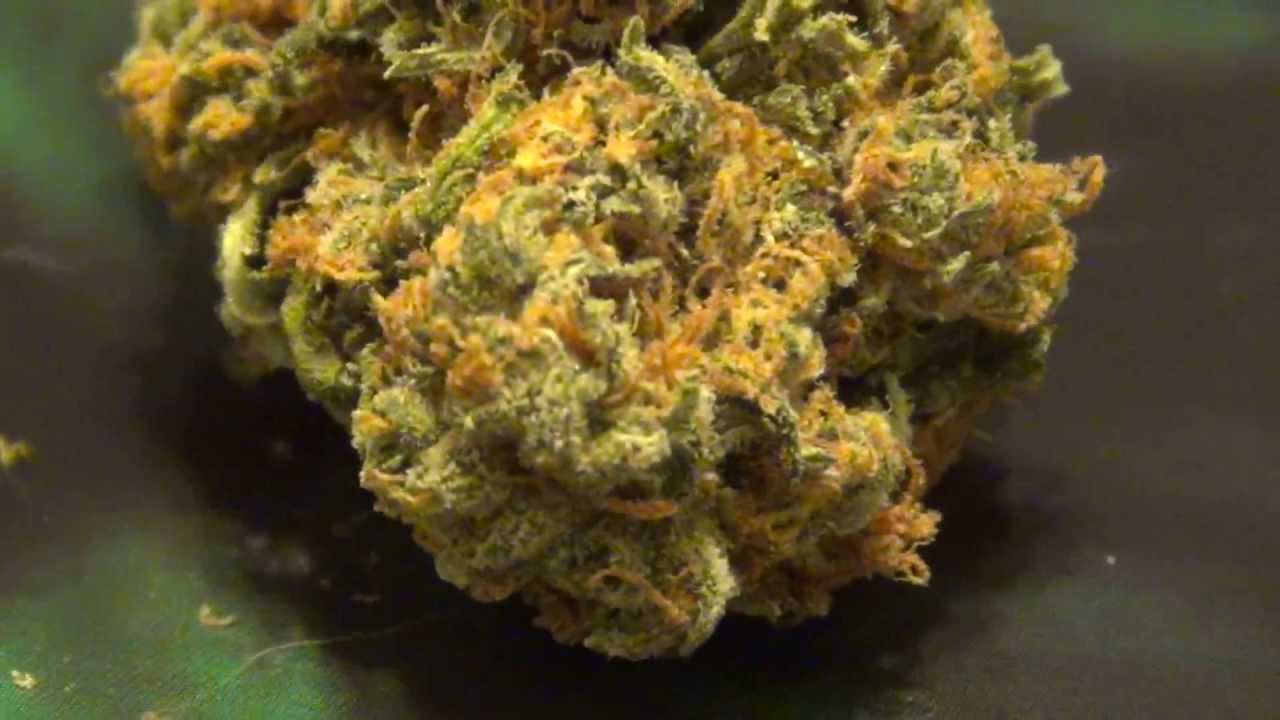 Smoking Some Dank Ganja Legally in Colorado!