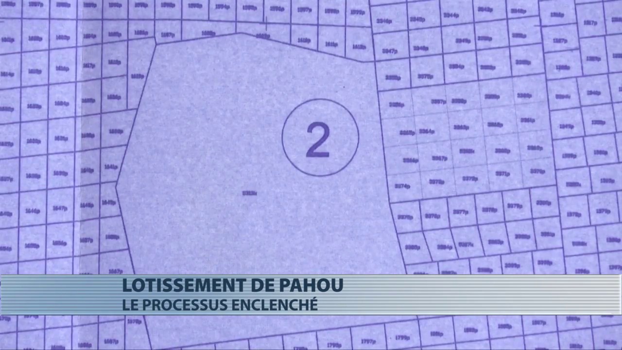 LOTISSEMENT  PAHOU