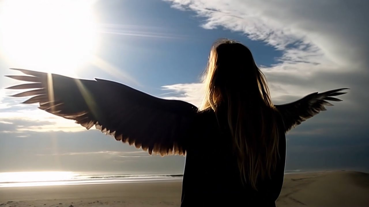 daine - payphone (official visualiser)