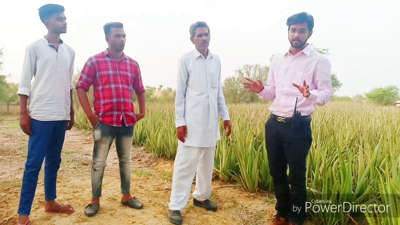 Aloevera Farming in Rajasthan with Akash Srivastava