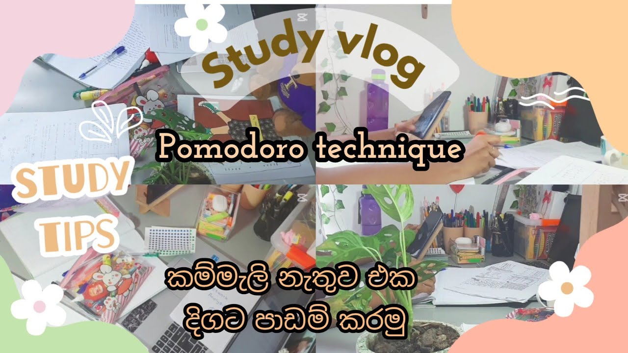 Study vlog📚|කම්මැලිකම නැතුව ගොඩාක් වෙලා පාඩම් කරන්න ක්‍රමයක්🌸|Pomodoro technique එක කියන්නේ මොකක්ද🤔