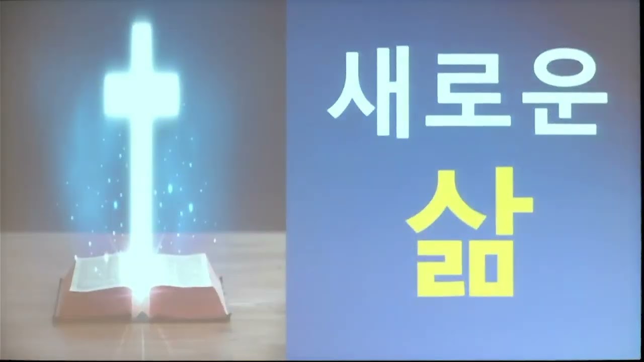 새로운 삶 (롬 12:14-18)