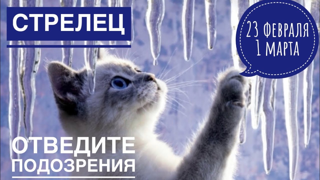 Стрелец ♐️ 23 февраля-1 марта 2026 🍀🔮✨🗝❤️ Таро Ленорман прогноз 