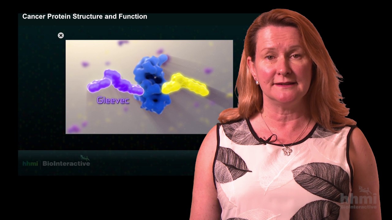 HHMI Educator Tips | BCR-ABL Cancer Protein Structure and Function