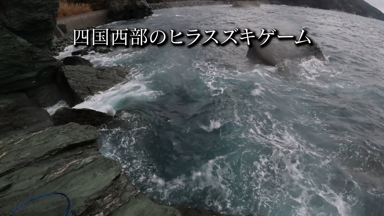 四国西部のヒラスズキゲーム