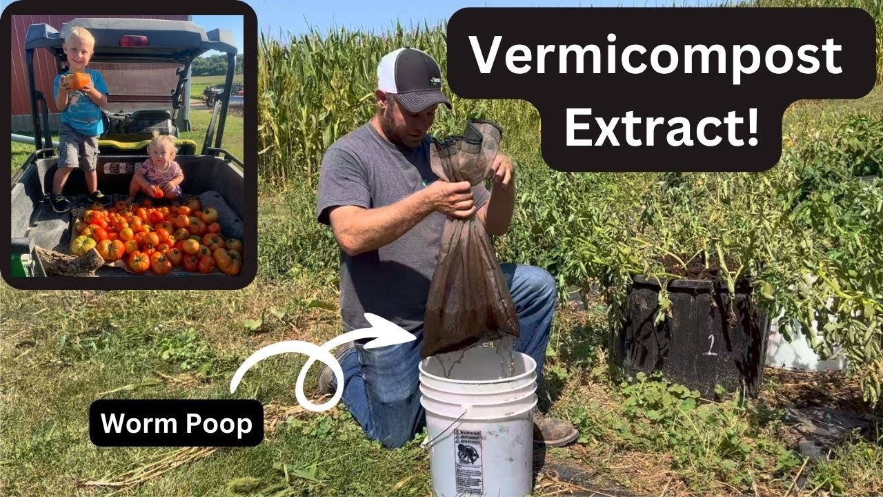 Making Compost Extract for our Garden | Vermicompost