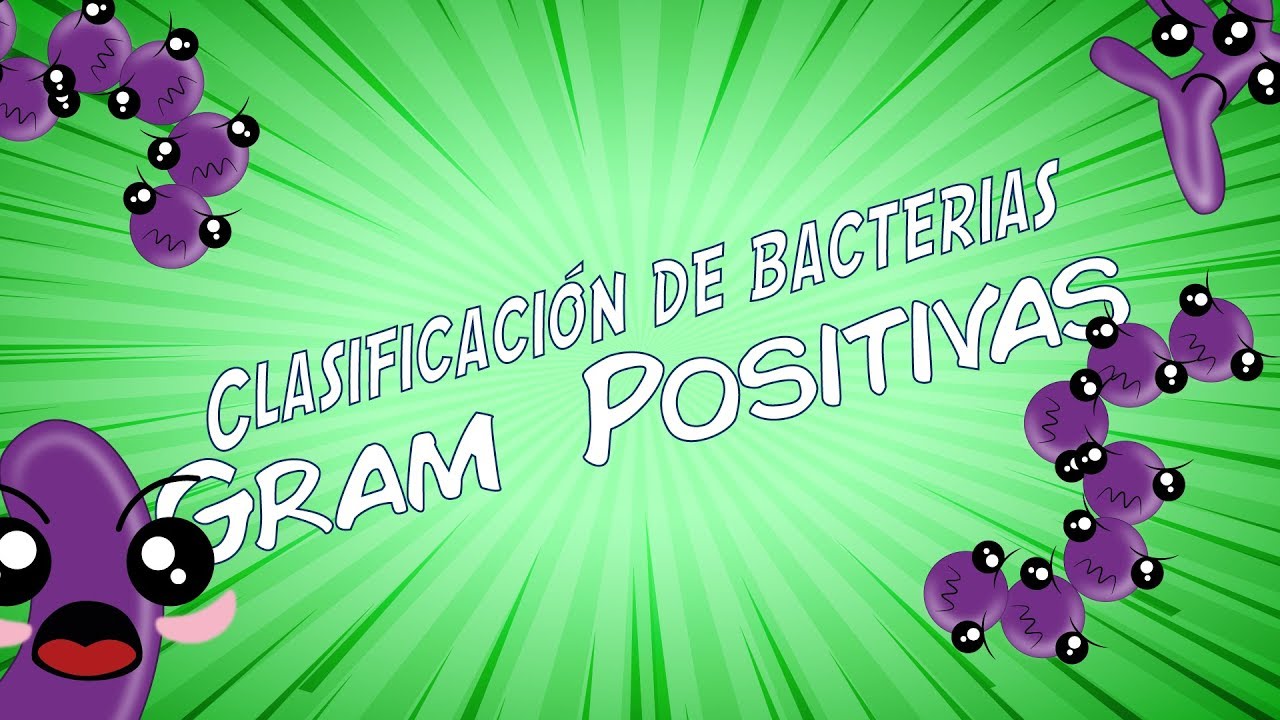 ¿Cómo se clasifican las Bacterias Gram Positivas? | ft. Profe Mr. Left Lung