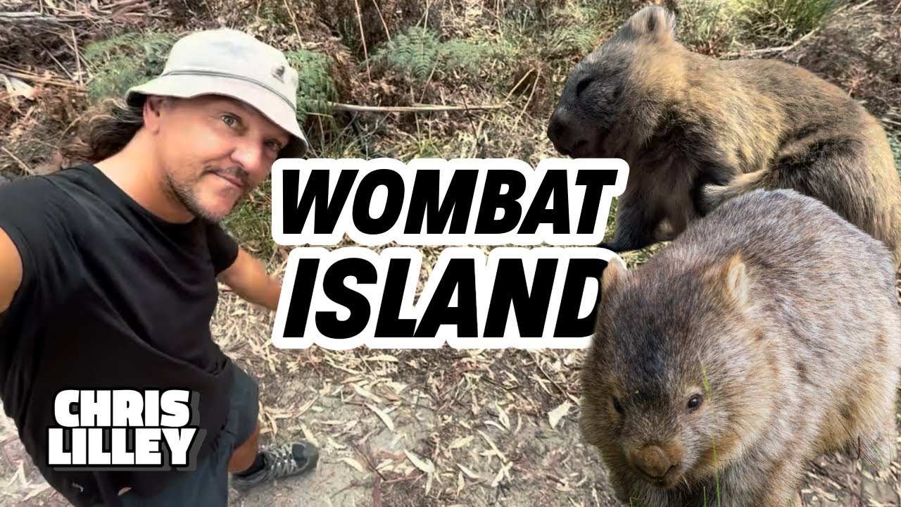 Wombat Island - Tasmania