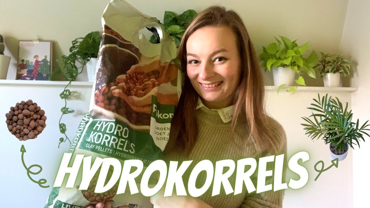 Alles Over HYDROKORRELS Bij Kamerplanten - Kleikorrels