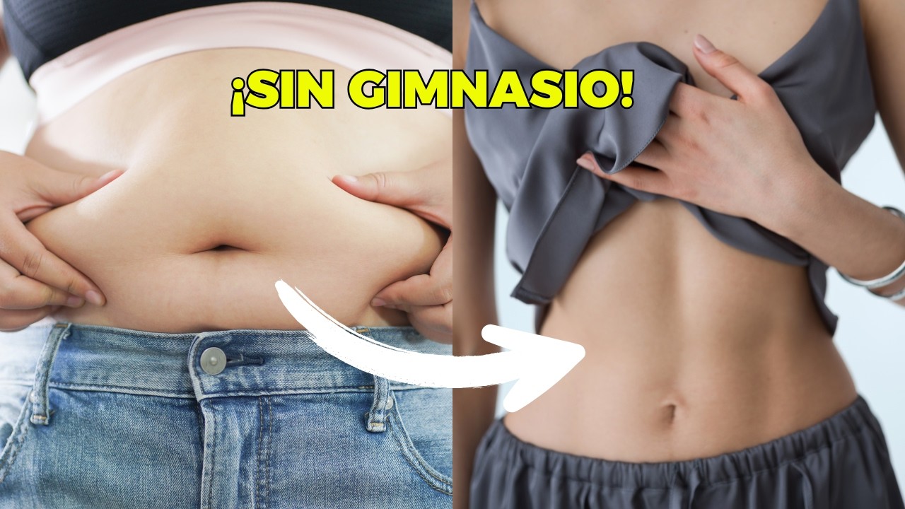 Cómo quemé grasa abdominal SIN gimnasio (método con respaldo científico)
