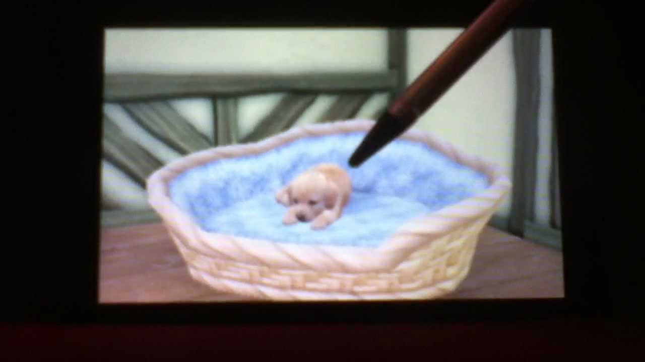nintendogs + cats (petite annonce incontournable pour tout les passionnés !!)