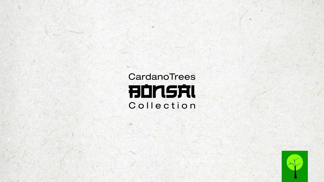 CardanoTrees - CT Bonsai Collection / Soon