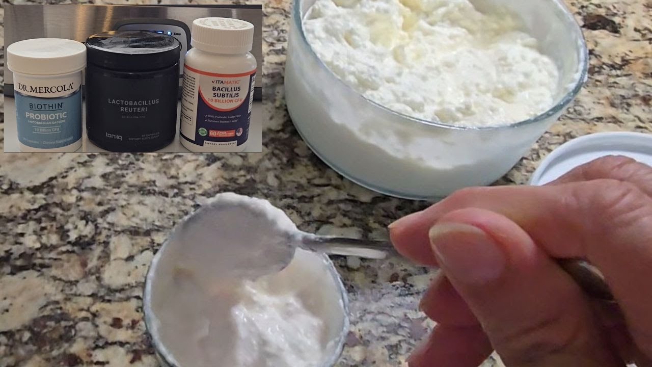 L Reuteri Yogurt -  fermenting Yogurt at home