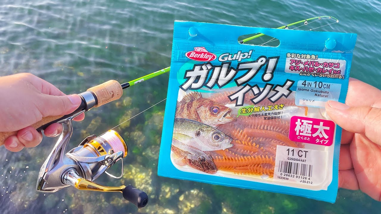 これぞ最強！「ガルプイソメ」を使ったら○○だって出来ちゃいました