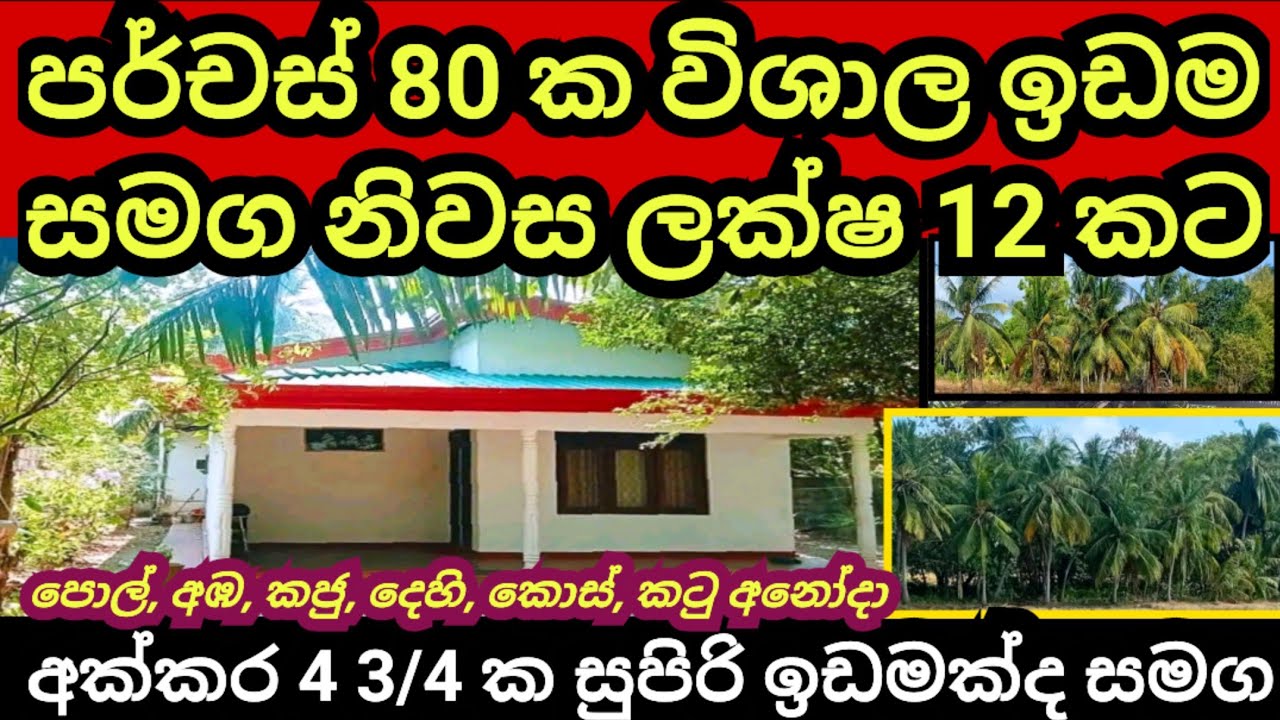 පර්චස් 80 ක ඉඩම හා නිවස ලක්ෂ 12 කට | අක්කර 4.75 ක සුපිරි ඉඩමක්ද සමග | Coconut land | House for sale
