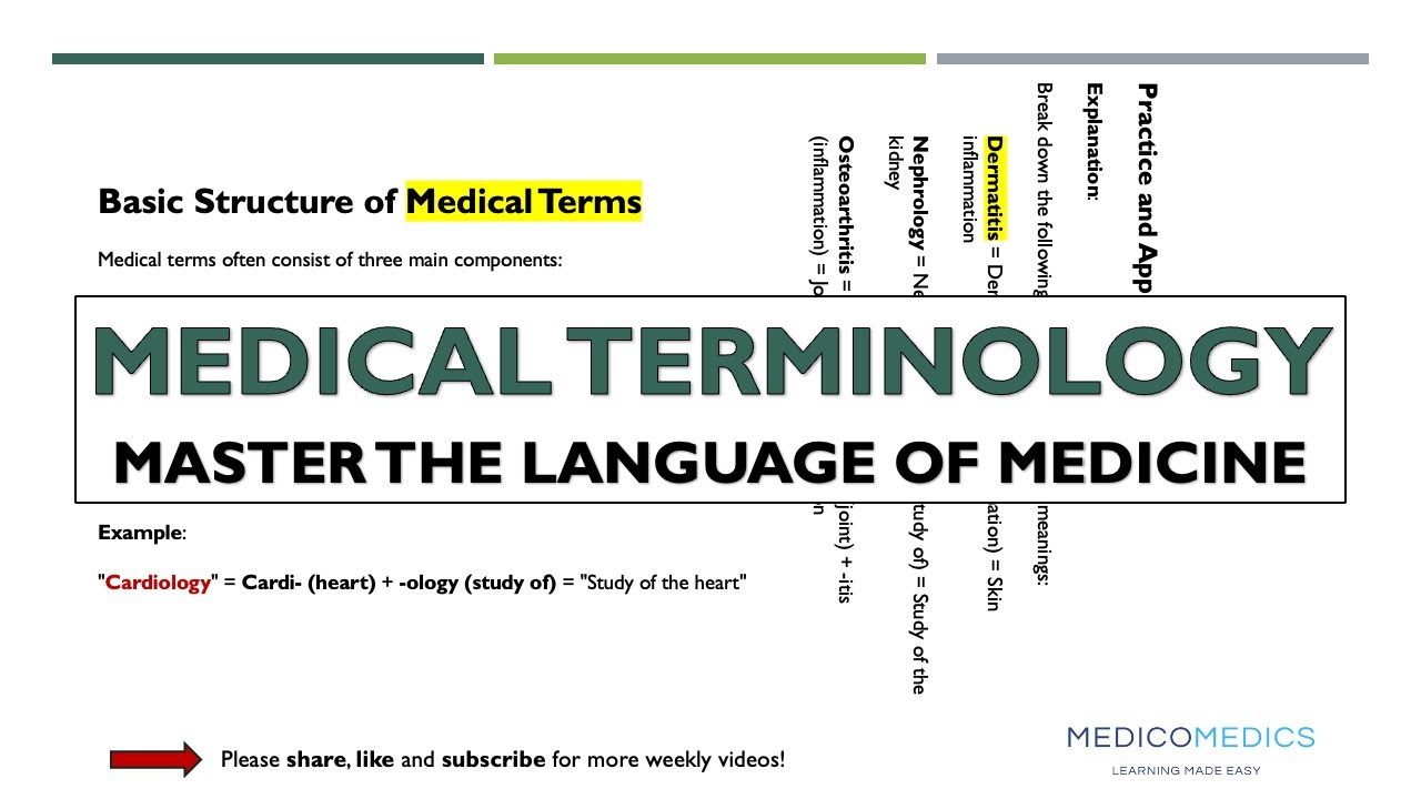 Medical Terminology Basics | Chapter 1: Word Roots, Prefixes & Suffixes Explained