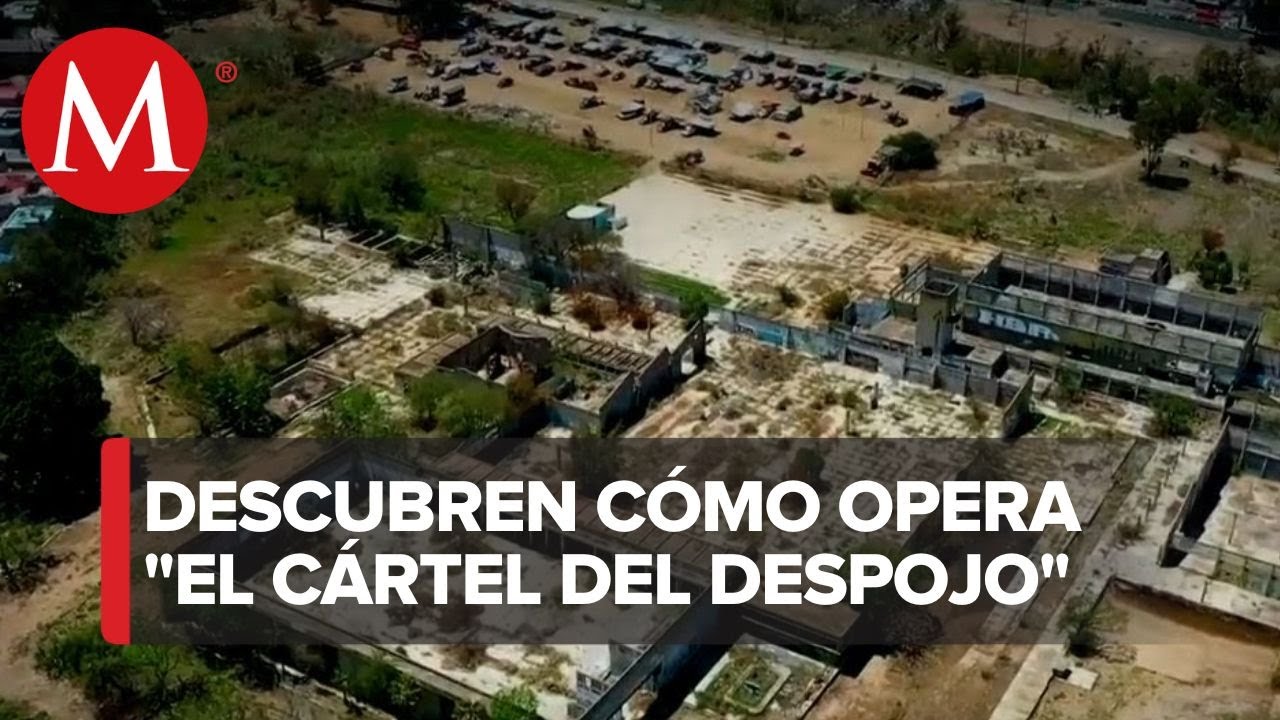 Así opera el Cártel de Despojo en Oaxaca