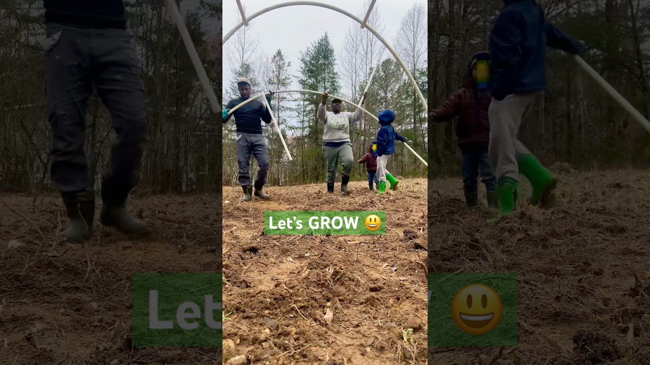 JOIN OUR GARDEN DANCE PARTY🌱🥳💃🎉✨#gardening #zone7b #countryliving #familytime